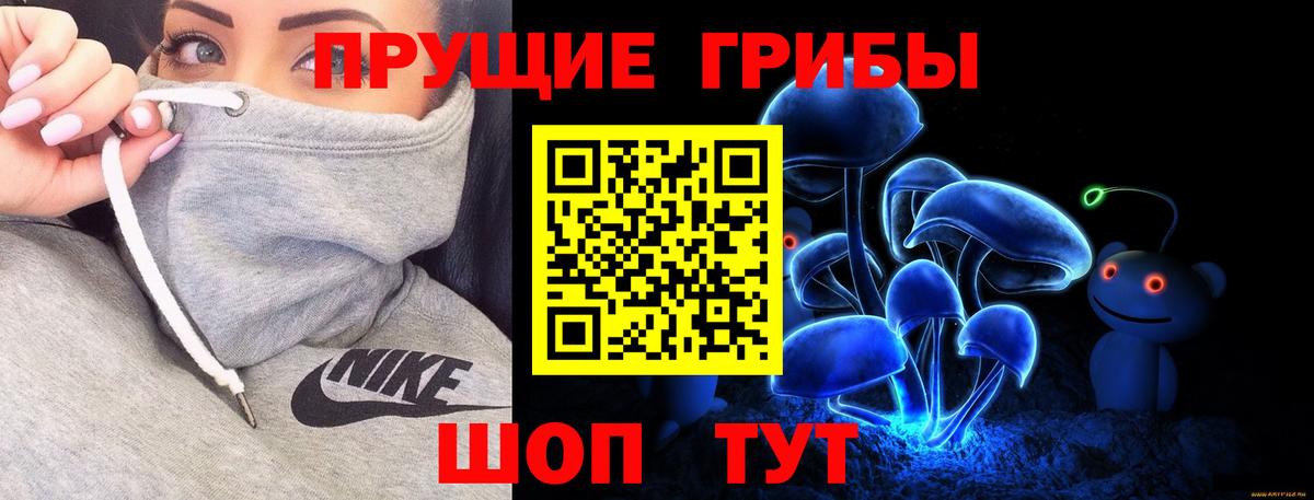 Псилоцибиновые грибы Psilocybine cubensis Сыктывкар